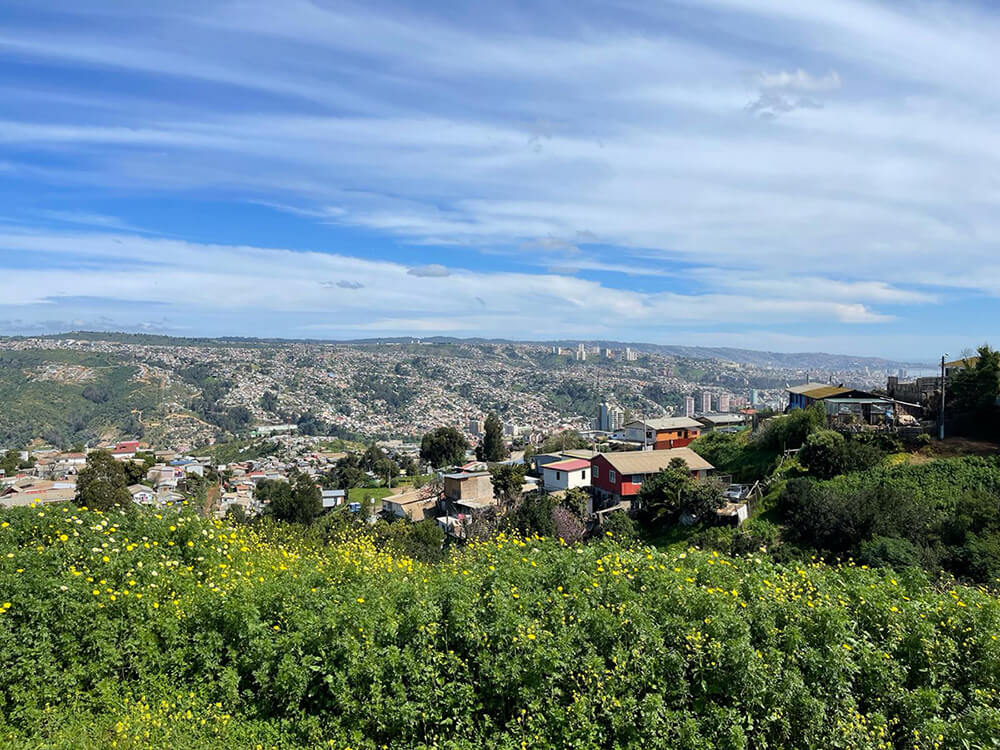 View of Miraflores Alto, Chile